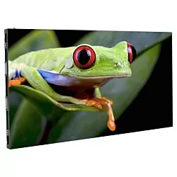 ADJ WMS2 - 2.6mm Pixel Pitch Wall Mount LED Panel