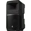 Electro-Voice EVIVA 15P - 15" 1000W Powered Loudspeaker
