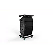 JBL SRX910LA - Dual 10" 880W Powered Line Array with DSP