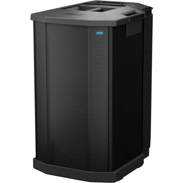 Bose F1 Powered Subwoofer 